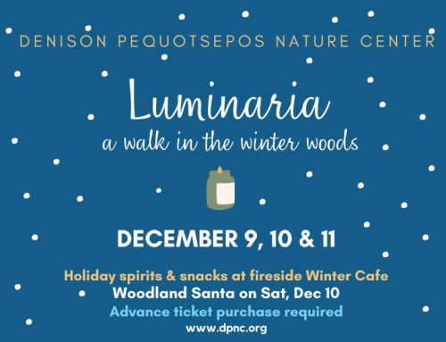 Luminaria to be held December 9, 10 & 11 at Nature Center