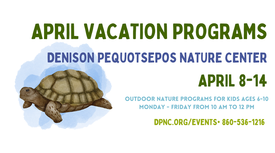 April Vacation Programs at the Denison Pequotsepos Nature Center