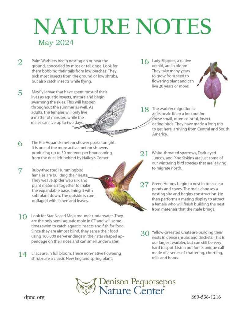 Nature Notes for May 2024