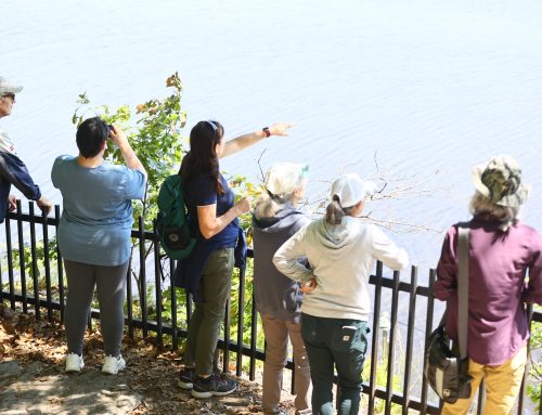 Denison Pequotsepos Nature Center Requests Community Input as it Charts a Course for the Next Three Years