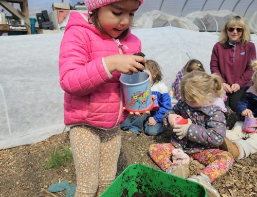 From Seed to Soil: Preschoolers Dig Into Learning at the Giving Garden