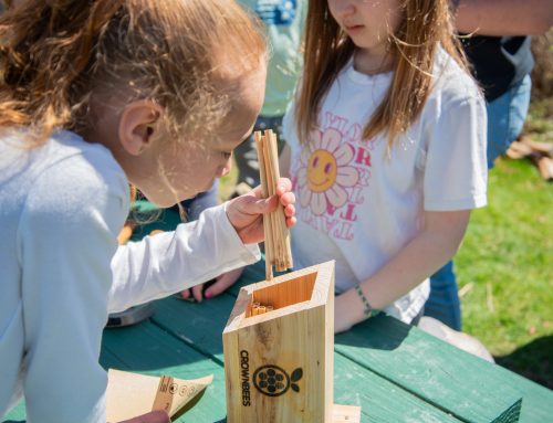 Neighbors & Nature Students Build a Home for Native Bees