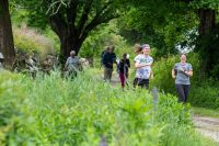 Woodland Ramble 2025